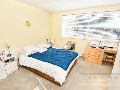 Picture 27